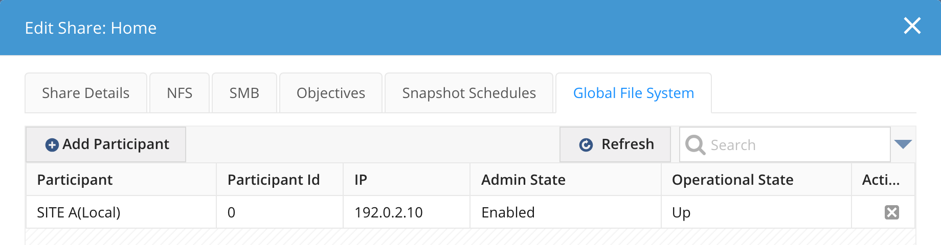 The Global File System tab of the Home share showing only the local site as a participant
